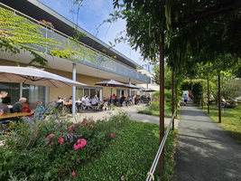 Eine sonnige Terrasse mit Gästen, Pflanzen und einem Gehweg in einer Senioreneinrichtung.