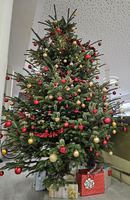 Weihnachtsbaum geschmückt mit roten und goldenen Kugeln sowie Geschenken darunter.