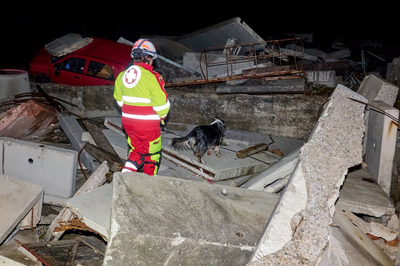 Einsatzkraft steht mit Rettungshund auf Betontrümmern