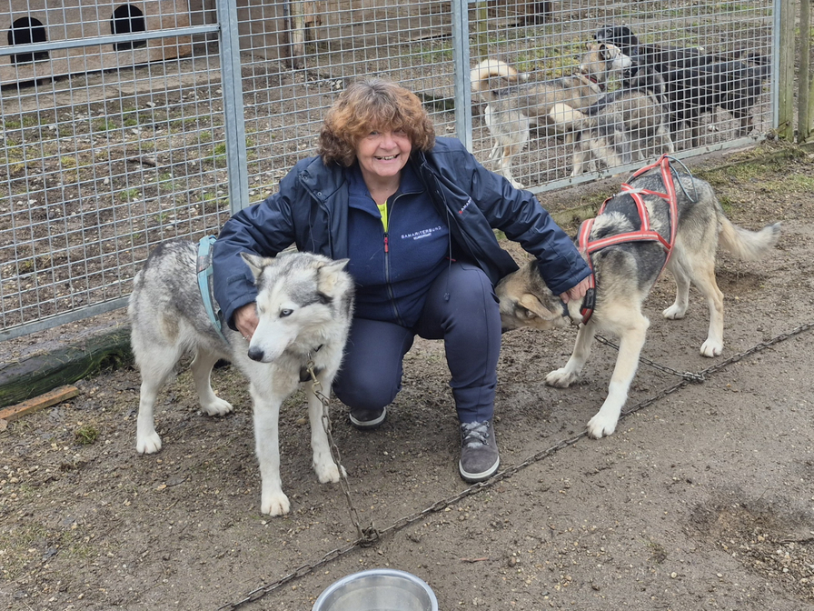Eine Frau kniet zwischen zwei Huskys in einem Gehege.