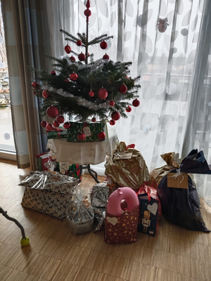 Ein geschmückter Weihnachtsbaum mit Geschenken darunter.