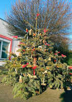 Ein geschmückter Weihnachtsbaum mit bunten Verzierungen und Naturmaterialien.