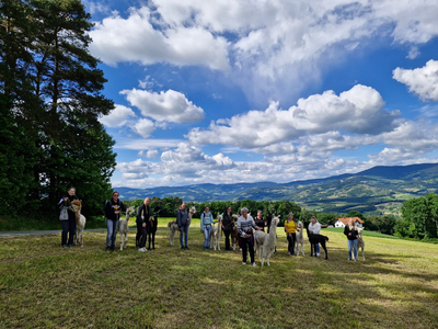 Gruppe von Personen mit Alpakas auf einer Wiese vor einer Berglandschaft.
