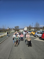 Eine Gruppe Senioren mit Rollstühlen spaziert auf einer Straße bei sonnigem Wetter.
