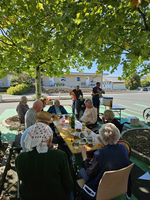 Gruppe von Menschen sitzt unter einem Baum und genießt eine Mahlzeit im Freien.