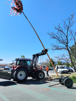 Ein Traktor hebt einen hohen Baumstamm mit bunten Bändern und einem Schmuckzweig in die Luft. Im Hintergrund sind Menschen bei der Arbeit zu sehen, umgehend eine Festlichkeit vorzubereiten. Der Himmel ist blau und klar.