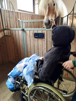 Eine Person im Rollstuhl streichelt ein Pferd im Stall.